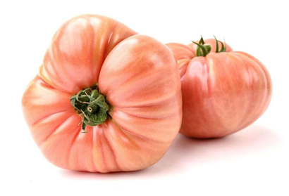 tomàtiga rosa agromart