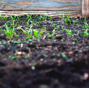 La terra és un préstec