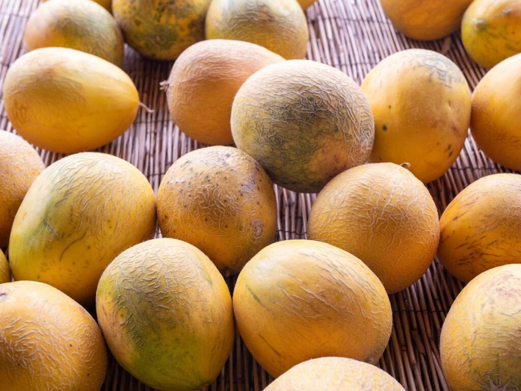 Agromart des Cruce - Vilafranca de Bonany