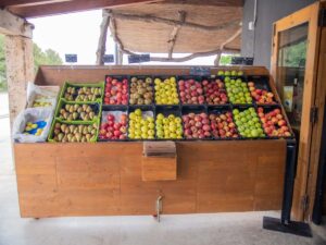 Agromart des Cruce - Vilafranca de Bonany