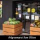 Agromart Son Oliva